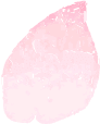 桜の花びら