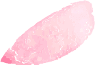 桜の花びら
